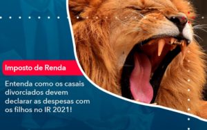 Entenda Como Os Casais Divorciados Devem Declarar As Despesas Com Os Filhos No Ir 2021 1 - Orientadora Organização Contábil